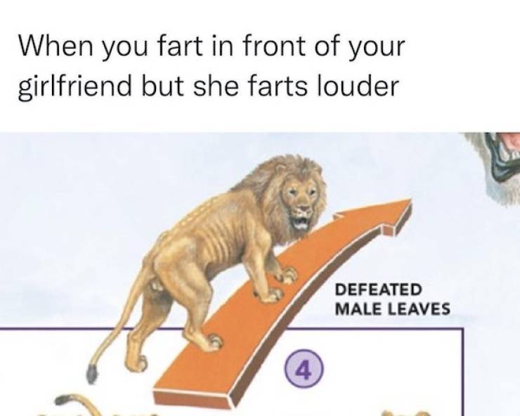 flirty memes to send your better half 33 pics 17.html - 33 HD Photos | Premium Gallery 2025