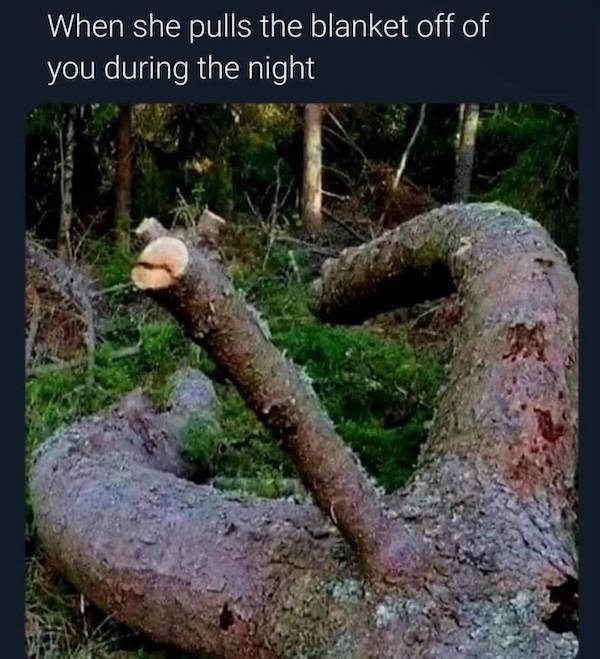 flirty memes to send your better half 33 pics 17.html - 33 HD Photos | Premium Gallery 2025