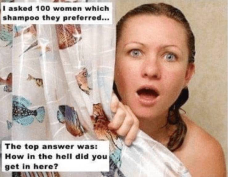 mildly arousing memes 45 pics 4.html - 45 HD Photos | Premium Gallery 2025