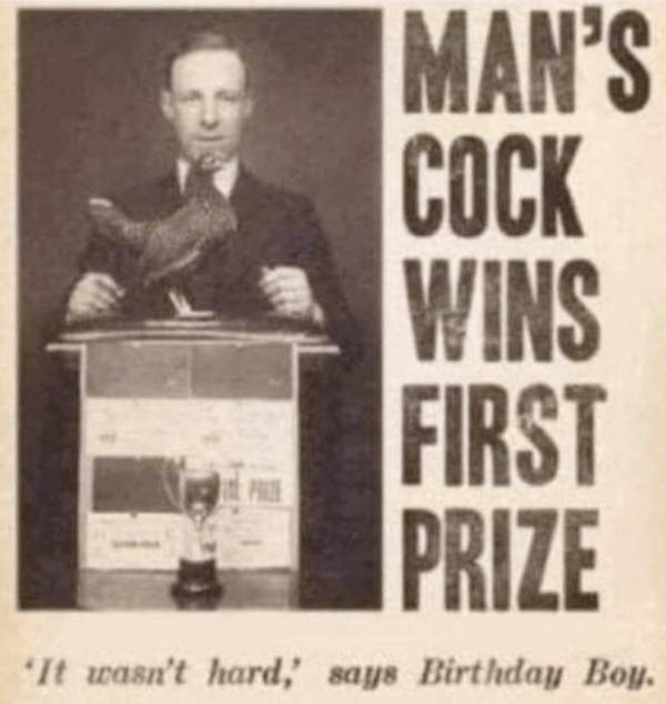 mildly arousing memes 45 pics 4.html - 45 HD Photos | Premium Gallery 2025