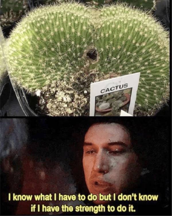 mildly arousing memes 45 pics 4.html - 45 HD Photos | Premium Gallery 2025