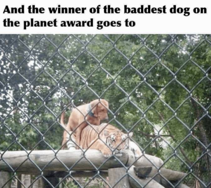 Dirty Dump For Dirty Minds