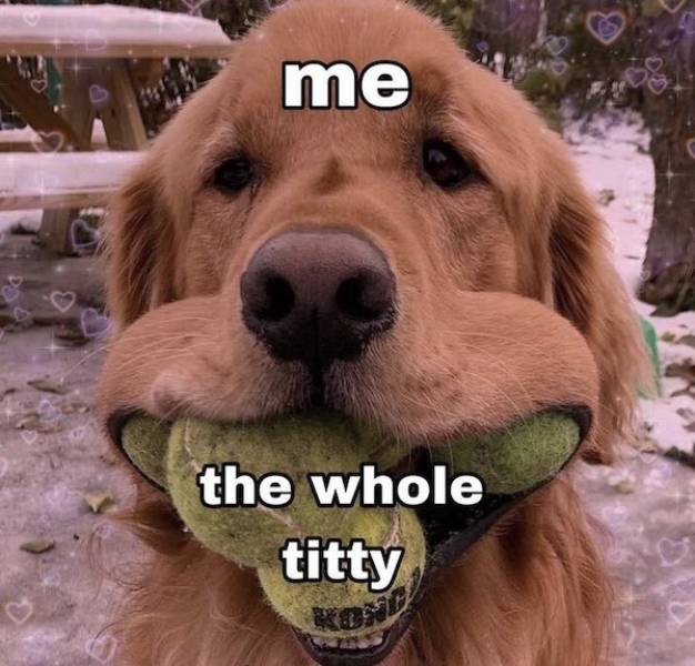 nsfw memes to add some spice to your life 43 pics 19.html - 43 HD Photos | Premium Gallery 2025