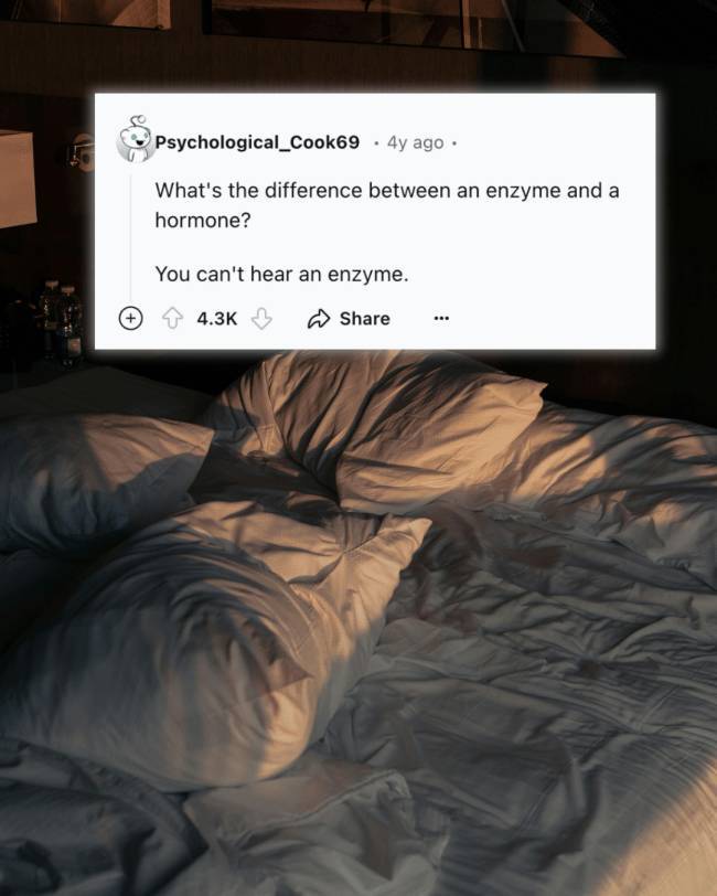 Classic, Dirty, and Snappy Jokes