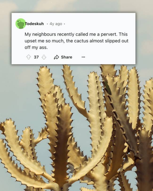 Classic, Dirty, and Snappy Jokes