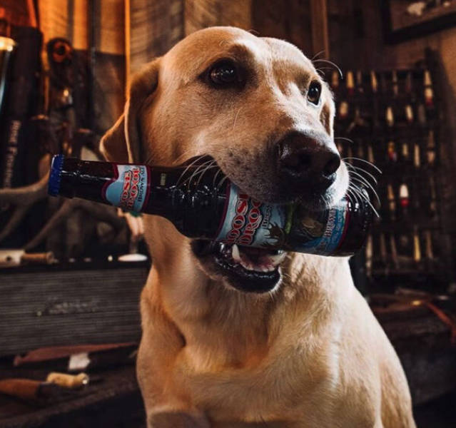 Drinking Never Ends!