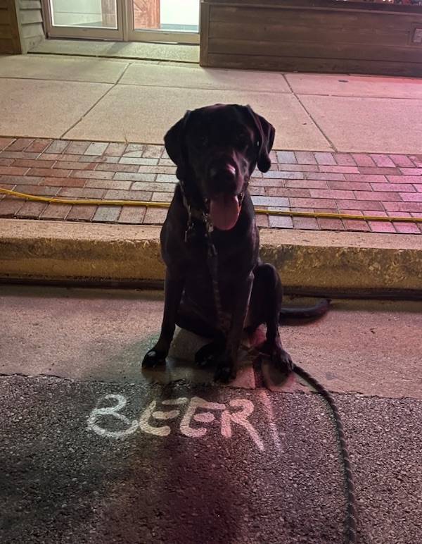 Drinking Never Ends!