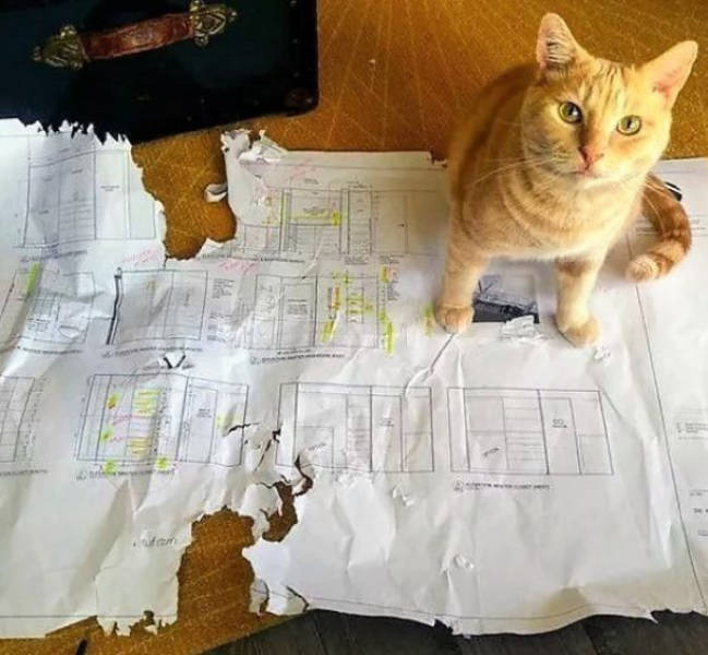 2026 Has Arrived — Let the New Memes Begin