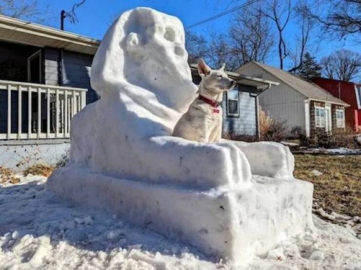 daily picdump 44 pics 21.html - 44 HD Photos | Premium Gallery 2026