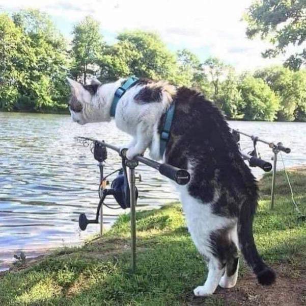 daily picdump 44 pics 21.html - 44 HD Photos | Premium Gallery 2026