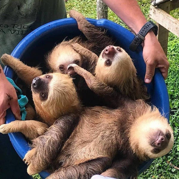 daily picdump 44 pics 21.html - 44 HD Photos | Premium Gallery 2026