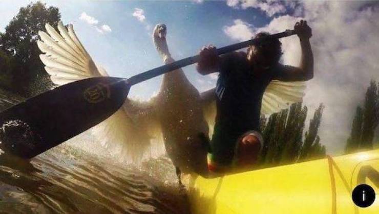 daily picdump 44 pics 21.html - 44 HD Photos | Premium Gallery 2026