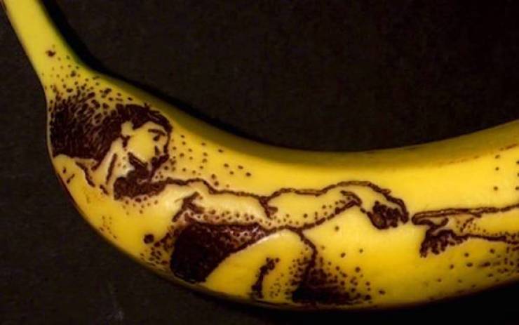 daily picdump 44 pics 21.html - 44 HD Photos | Premium Gallery 2026