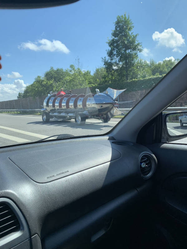 daily picdump 44 pics 21.html - 44 HD Photos | Premium Gallery 2026