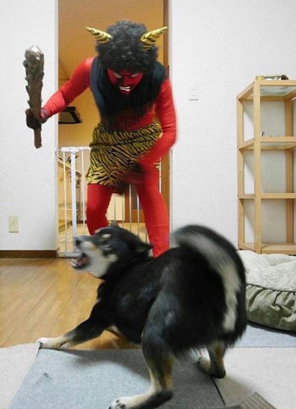 daily picdump 44 pics 21.html - 44 HD Photos | Premium Gallery 2026