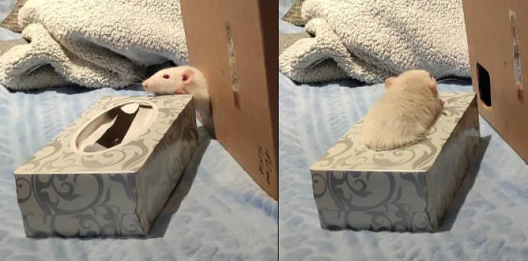 wtf did i just see 52 pics 14.html - 52 HD Photos | Premium Gallery 2026