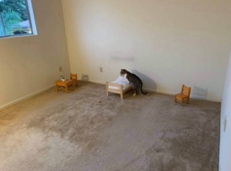 wtf did i just see 52 pics 14.html - 52 HD Photos | Premium Gallery 2026