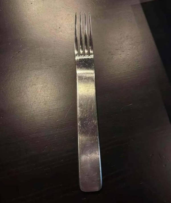 WTF Did I Just See?!