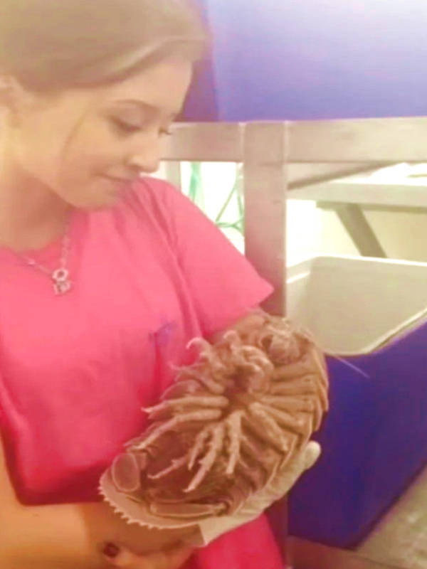 wtf did i just see 52 pics 14.html - 52 HD Photos | Premium Gallery 2026