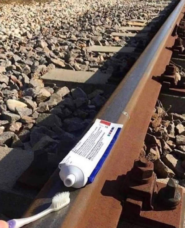 wtf did i just see 52 pics 14.html - 52 HD Photos | Premium Gallery 2026