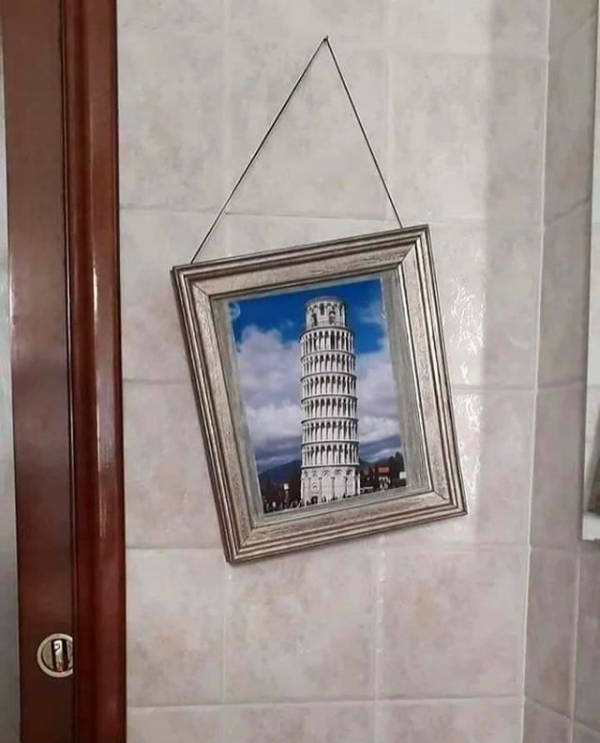 wtf did i just see 52 pics 14.html - 52 HD Photos | Premium Gallery 2026