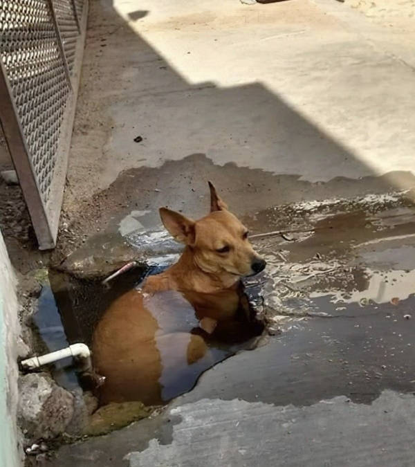 wtf did i just see 52 pics 14.html - 52 HD Photos | Premium Gallery 2026