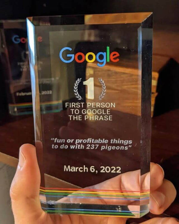 wtf did i just see 52 pics 14.html - 52 HD Photos | Premium Gallery 2026