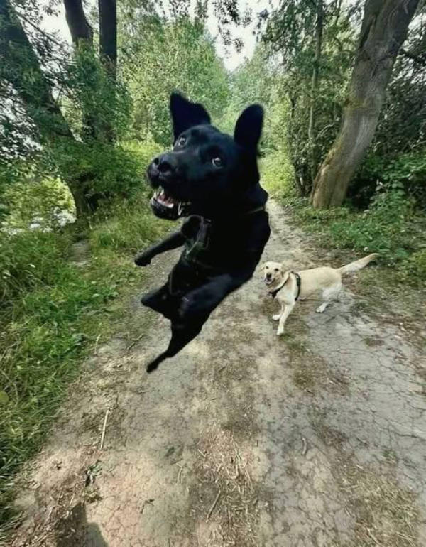 wtf did i just see 52 pics 14.html - 52 HD Photos | Premium Gallery 2026