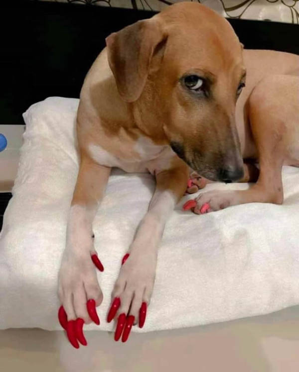 wtf did i just see 52 pics 14.html - 52 HD Photos | Premium Gallery 2026