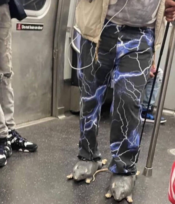 wtf did i just see 52 pics 14.html - 52 HD Photos | Premium Gallery 2026