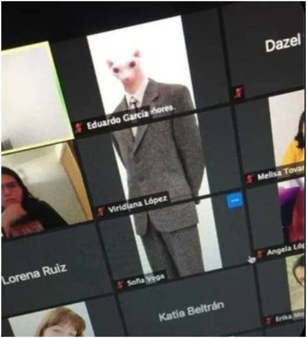 wtf did i just see 52 pics 14.html - 52 HD Photos | Premium Gallery 2026