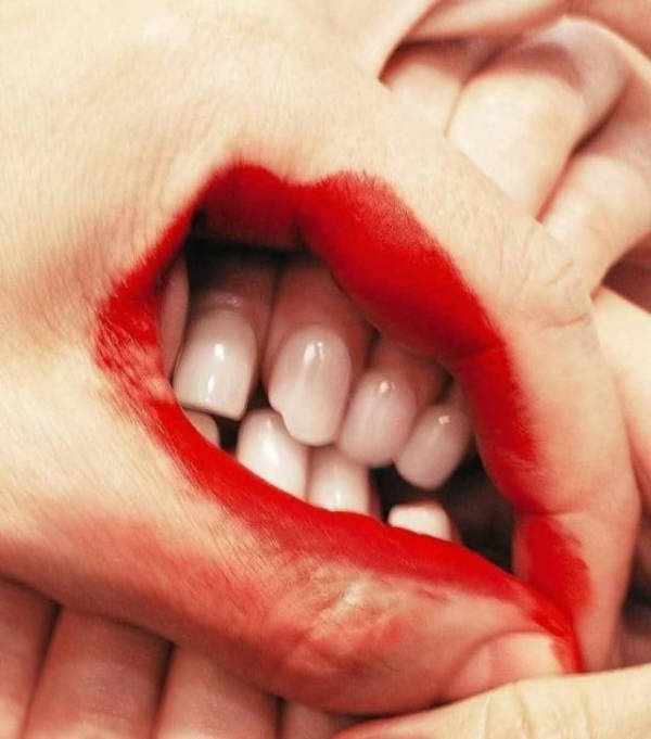 wtf did i just see 52 pics 14.html - 52 HD Photos | Premium Gallery 2026