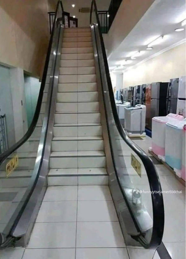 wtf did i just see 52 pics 14.html - 52 HD Photos | Premium Gallery 2026