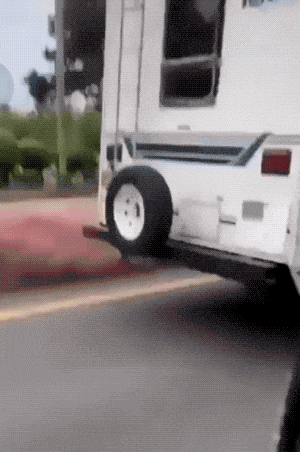 daily gifdump 34 gifs 5.html - 1 HD GIF | Premium Gallery 2026