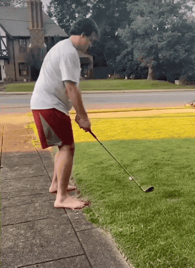 daily gifdump 34 gifs 5.html - 1 HD GIF | Premium Gallery 2026