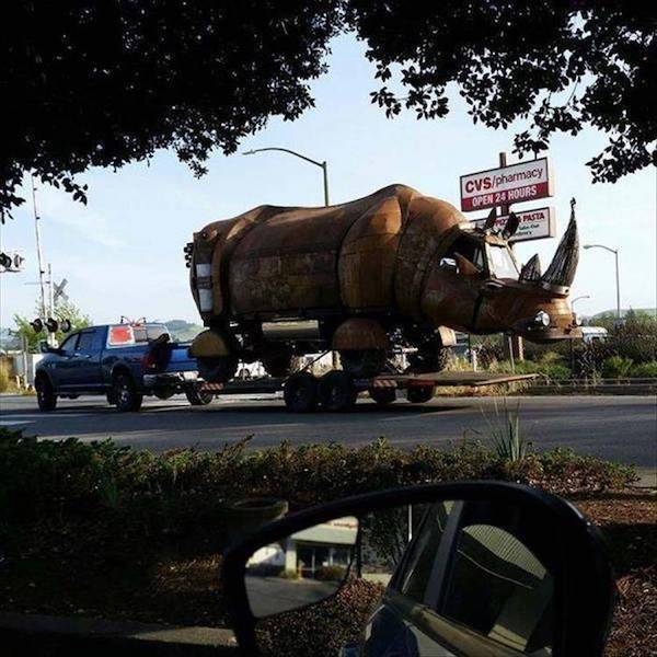 daily picdump 45 pics 7.html - 45 HD Photos | Premium Gallery 2026