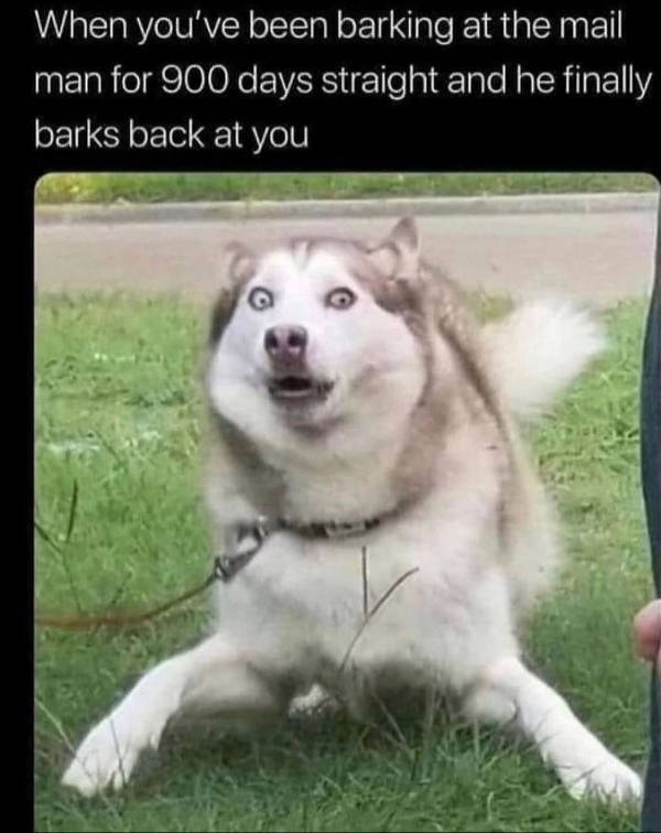 daily picdump 45 pics 7.html - 45 HD Photos | Premium Gallery 2026