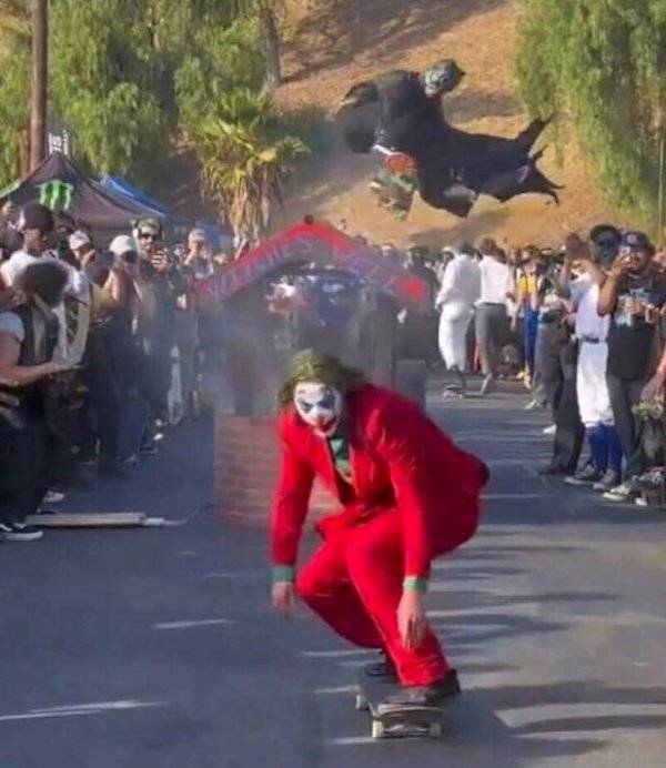 daily picdump 45 pics 7.html - 45 HD Photos | Premium Gallery 2026