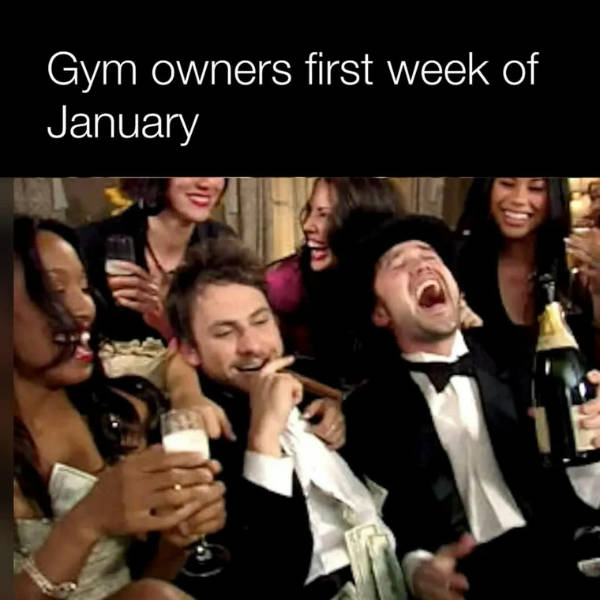 random memes because why not 34 pics 14.html - 34 HD Photos | Premium Gallery 2026