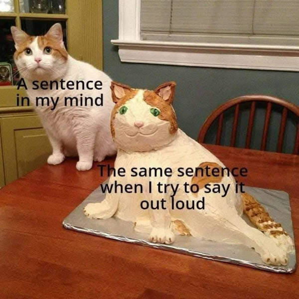 random memes because why not 34 pics 14.html - 34 HD Photos | Premium Gallery 2026