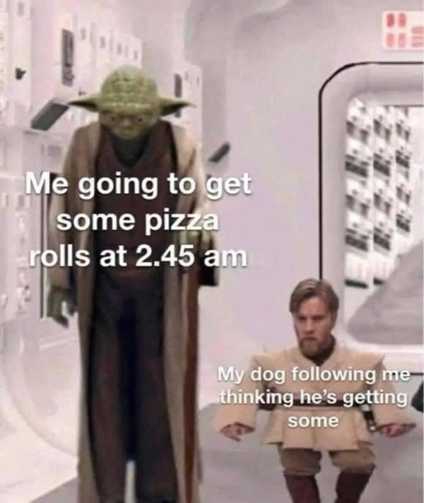 random memes because why not 34 pics 14.html - 34 HD Photos | Premium Gallery 2026