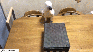 daily gifdump 46 gifs 3.html - 1 HD GIF | Premium Gallery 2026