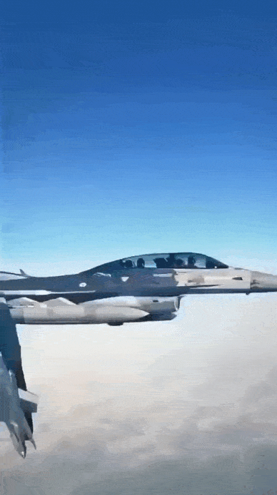 daily gifdump 46 gifs 3.html - 1 HD GIF | Premium Gallery 2026