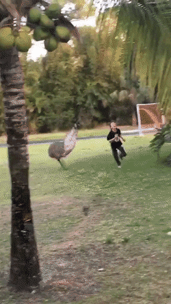 daily gifdump 46 gifs 3.html - 1 HD GIF | Premium Gallery 2026