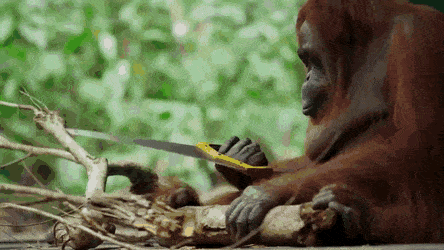 daily gifdump 46 gifs 3.html - 1 HD GIF | Premium Gallery 2026