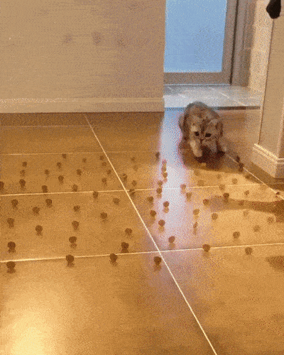 daily gifdump 46 gifs 3.html - 1 HD GIF | Premium Gallery 2026