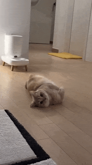 daily gifdump 46 gifs 3.html - 1 HD GIF | Premium Gallery 2026