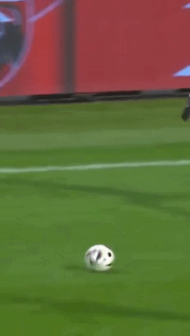 daily gifdump 46 gifs 3.html - 1 HD GIF | Premium Gallery 2026