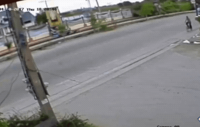 daily gifdump 46 gifs 3.html - 1 HD GIF | Premium Gallery 2026