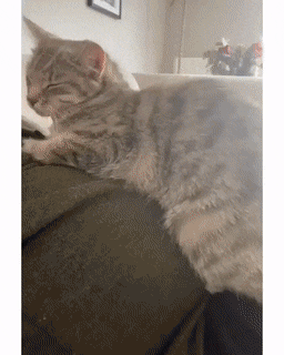 daily gifdump 46 gifs 3.html - 1 HD GIF | Premium Gallery 2026